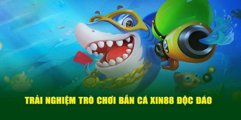 Bắn cá hải tặc đưa anh em đến với trải nghiệm thú vị mới mẻ Bắn cá hải tặc đưa anh em đến với trải nghiệm thú vị mới mẻ