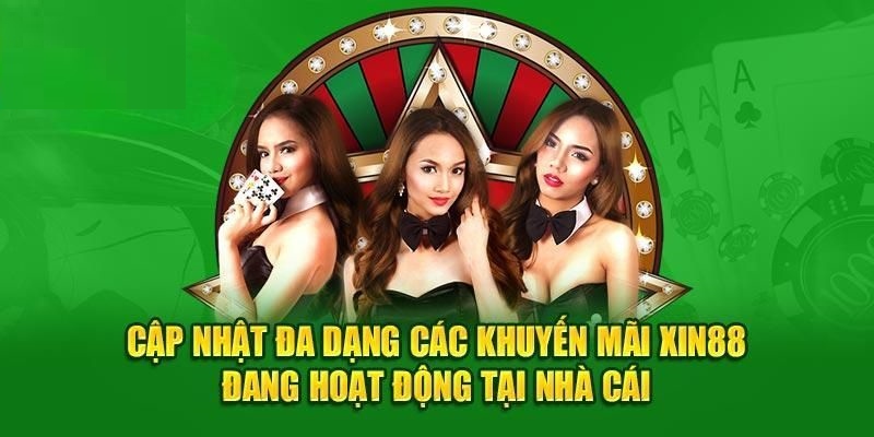 Chương trình hoàn trả sẽ giúp bạn nhận lại một khoản vốn đã đặt cược Chương trình hoàn trả sẽ giúp bạn nhận lại một khoản vốn đã đặt cược